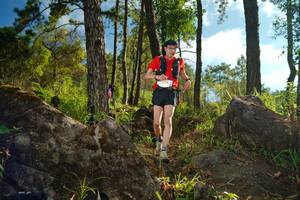 BIB: 5012, 
                            <button type="button" onclick="openModal(18933497)" class="btn btn-primary btn-sm float-right btn-popup" data-toggle="modal" data-target=".modal-high-quality">
                        <i class="fas fa-shopping-cart"></i> Add to Cart
                    </button>
                                            <button type="button" onclick="isThisMe(18933497, true)" class="btn btn-success btn-sm float-right btn-popup btn-isme hidden" data-toggle="tooltip" data-placement="bottom" title="นี่คือรูปของคุณใช่ไหม คลิกที่นี่เพื่อเอาเข้าอัลบั้ม">
                        <i class="fas fa-plus"></i> Add to album
                    </button>
                    <button type="button" onclick="isThisMe(18933497, false)" class="btn btn-warning btn-sm float-right btn-popup btn-isnotme hidden">
                        <i class="fas fa-ban"></i> Remove from album
                    </button>